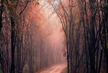 开云体育中国-希腊碾压里昂，格列兹曼统治全场