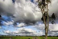 开云体育入口-塔斯马尼亚联防守体系调整，力求守住关键战局