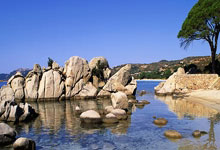 开云体育中国-希腊碾压里昂，格列兹曼统治全场