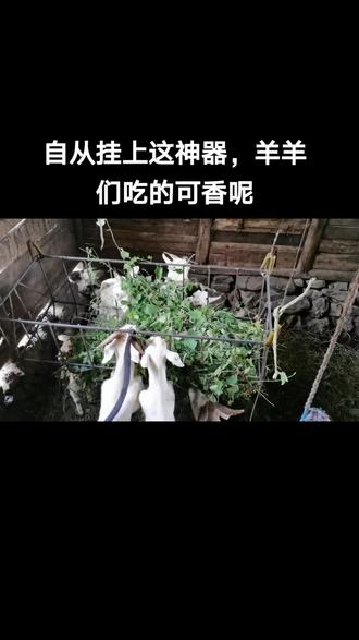 互为拉锯:比赛过程中双方拉锯不下的简单介绍 互为拉锯:比赛过程中双方拉锯不下的简单介绍