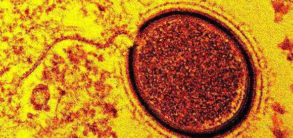 瑞典碾压瑞士,德容打破历史纪录 瑞典碾压瑞士,德容打破历史纪录