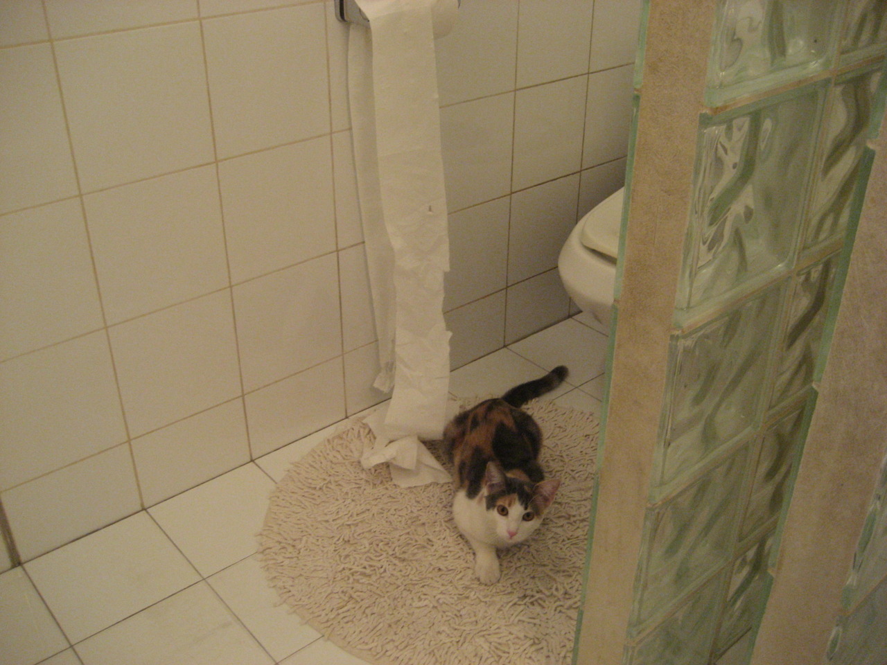 双重狂想曲，当英超在战术密林中缠斗，马竞用钢铁荆棘将里昂的玫瑰碾碎