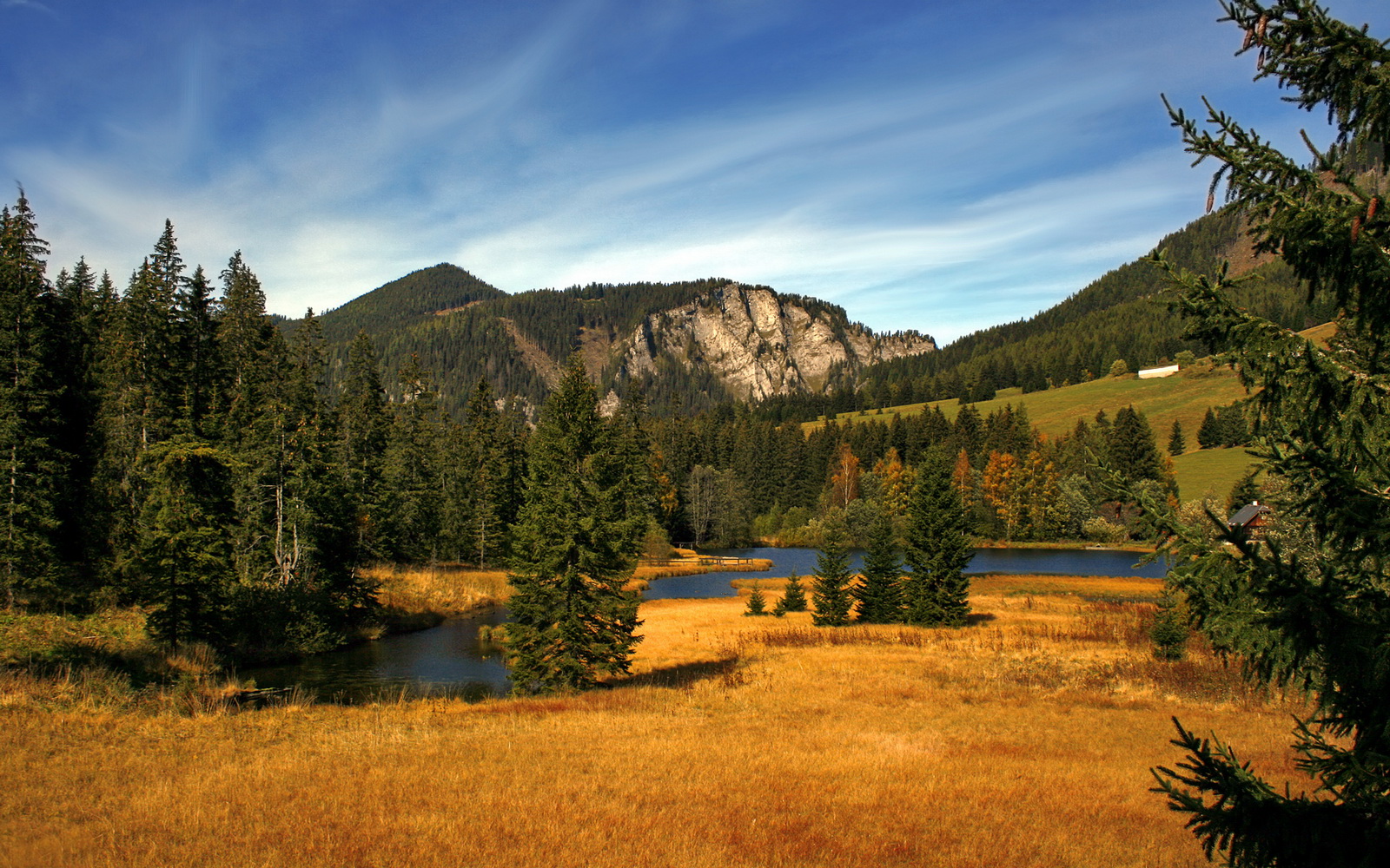 范弗利特独挑大梁，骑士力克老鹰迎连胜