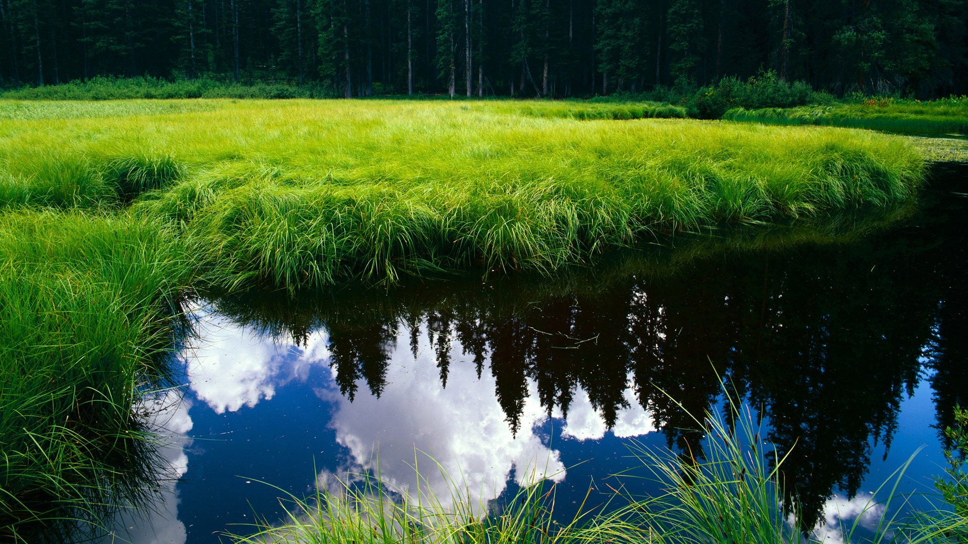 掘金战术刀锋收割的,是深圳效率之魂