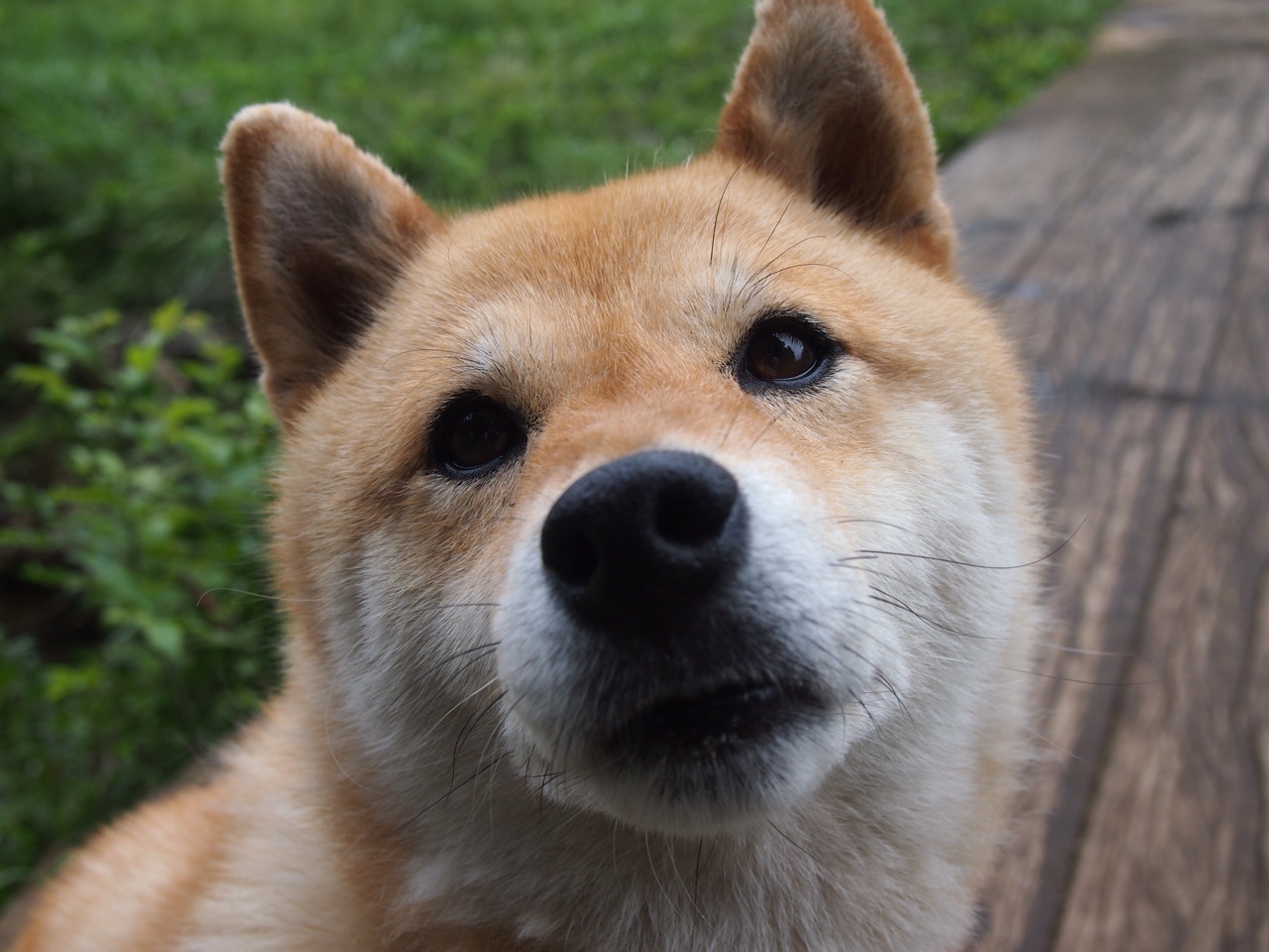 蓝月当空，梅西作注，一场被10号重新定义的欧冠淘汰赛