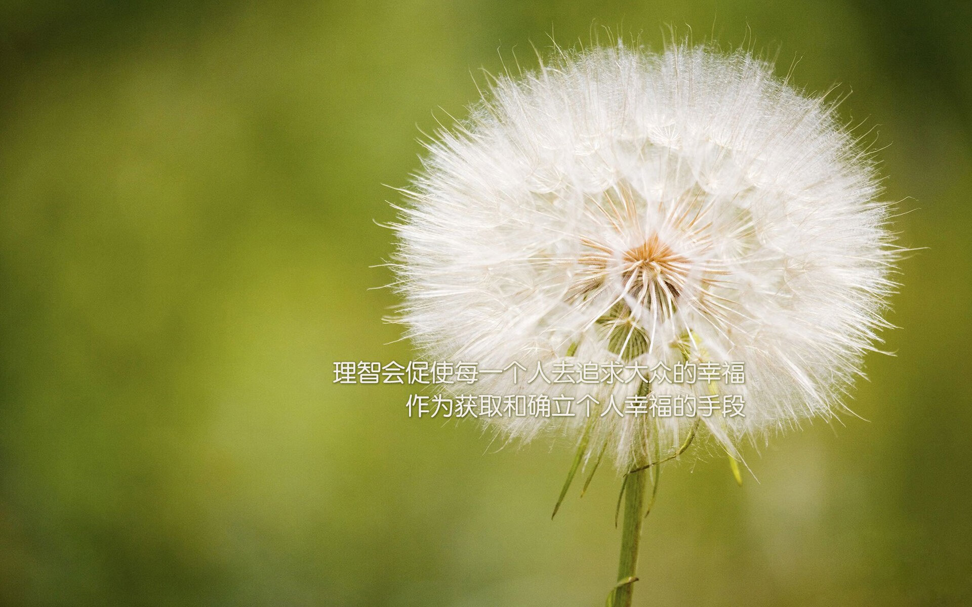 烈焰飓风英格拉姆,寒冰刺阵一波流,马刺的冷静与广厦的崩解