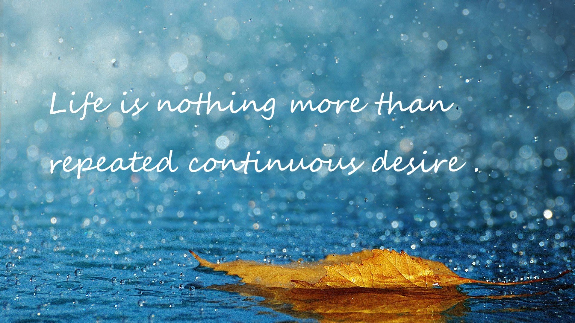 开云体育平台APP-冷血时刻，东决关键战之夜，福克斯关键回合不手软