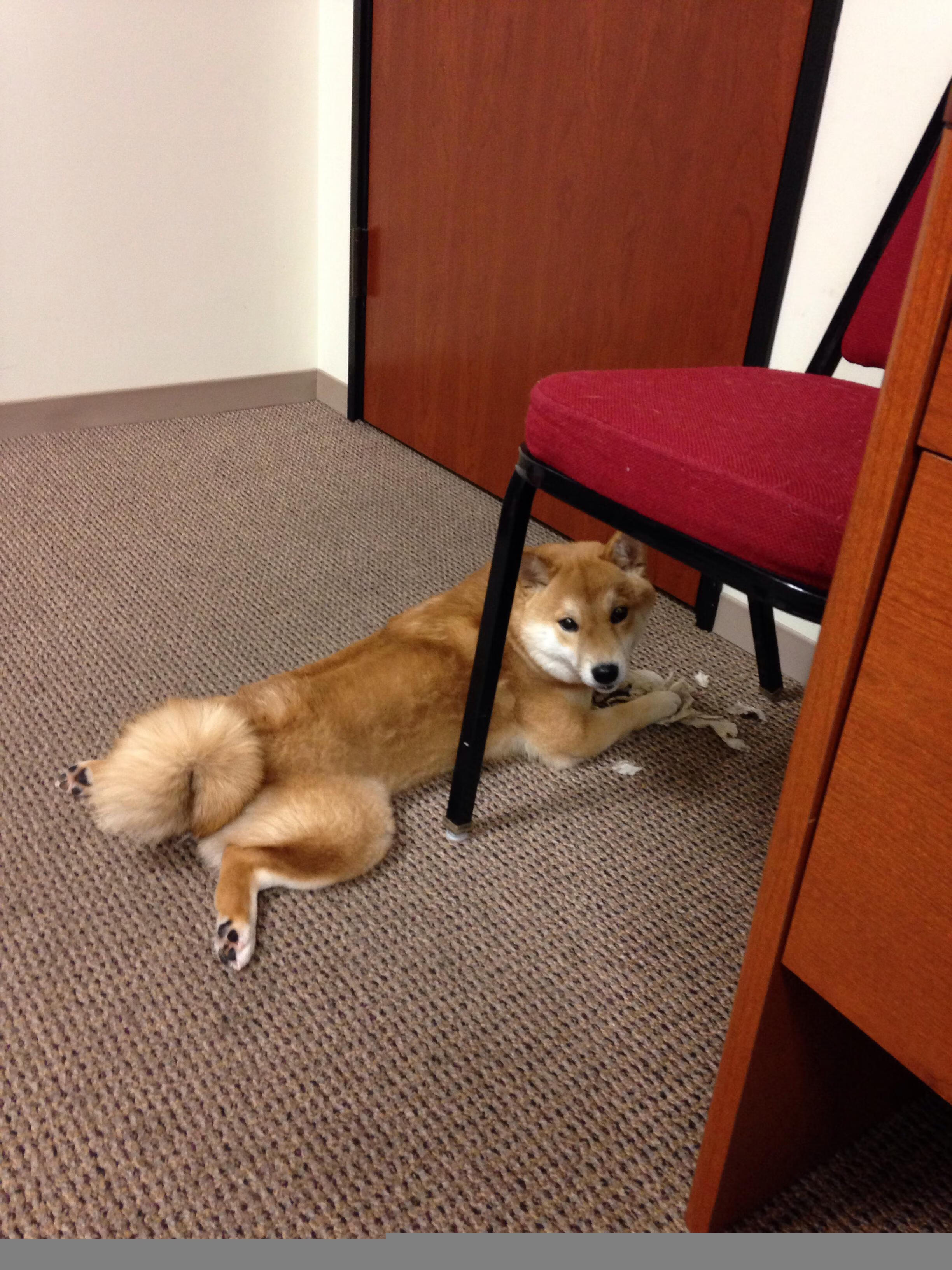 狂胜，戈麦斯在年度焦点之战中接管比赛