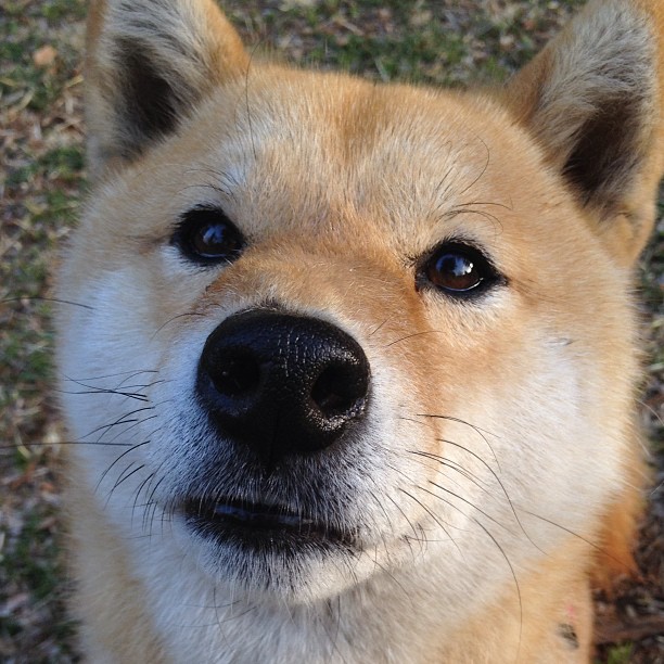 开云体育下载-切尔西客场制霸威尔士，绿茵焦点战背后的秩序重铸