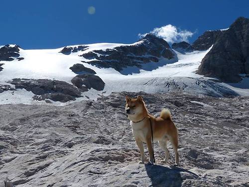 开云体育中国-当黄土高原遇见风城，东契奇在不可能的对决中诠释舞台的意义