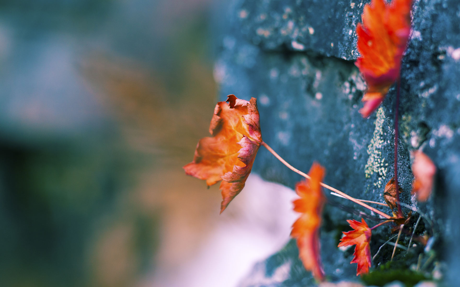 乌克兰强势击溃瑞典,蒂亚戈主宰年度焦点之战