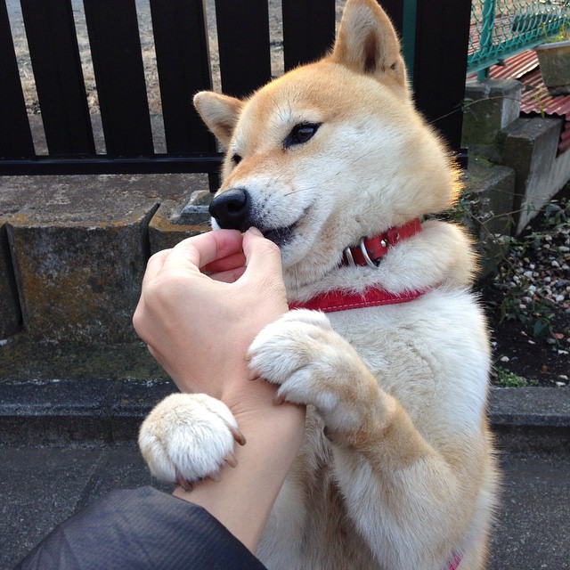 神话力量再现,希腊粉碎卡塔尔,马丁内利成为关键先生