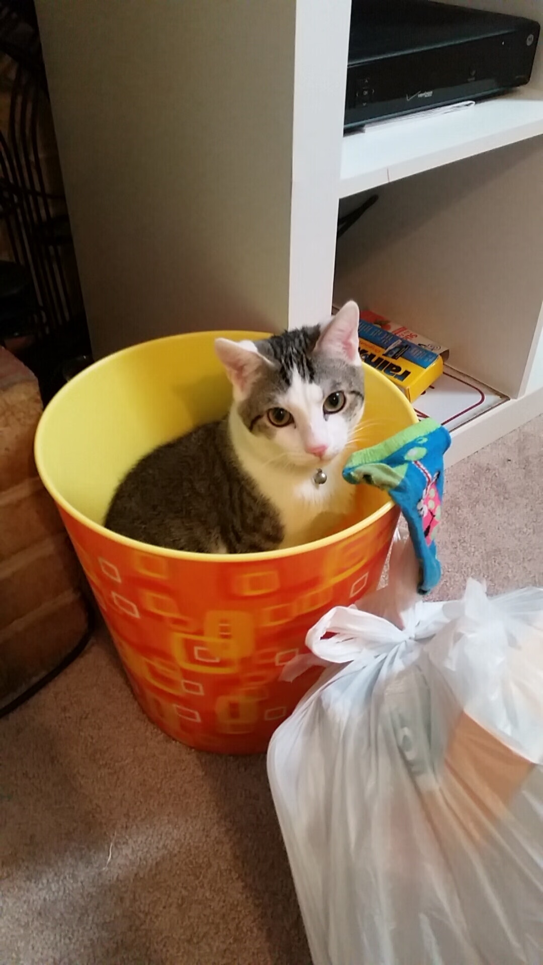 黑星撕裂风雪夜，加纳铁卫坎特一夫当关，冻土之上奏响非洲狂想