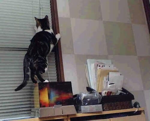 战术变革与赛场主宰，从意甲焦点战到奇才强压模式的启示