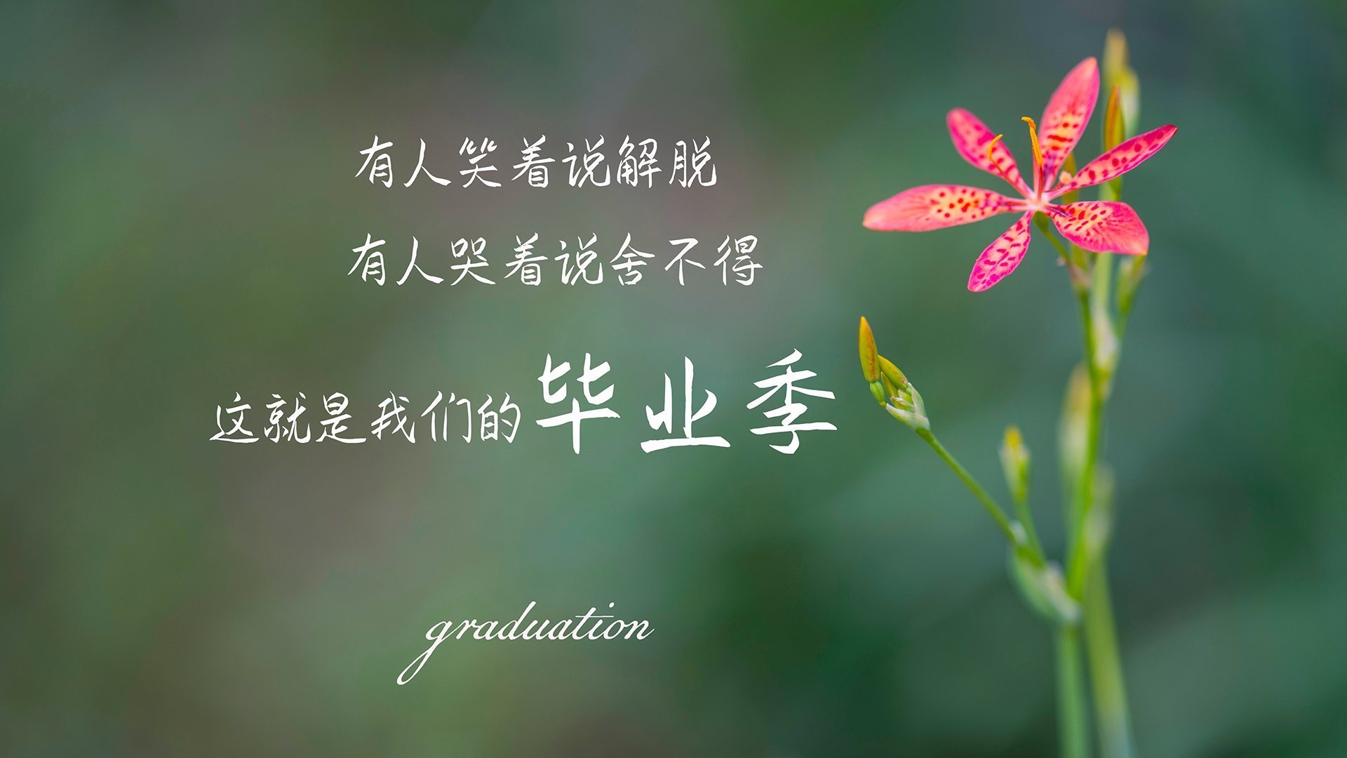 新旧力量的对撞，贝林厄姆爆发与卡塔尔逆转背后的足球版图变迁