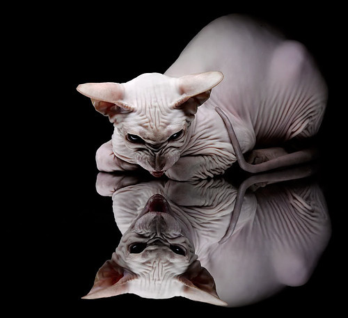 拉梅洛·鲍尔领军，吉林队强势击败76人队创历史