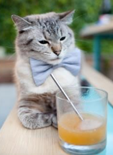 跨越洲际的传奇，南非团队的窒息防守与李刚仁的西决封神之战