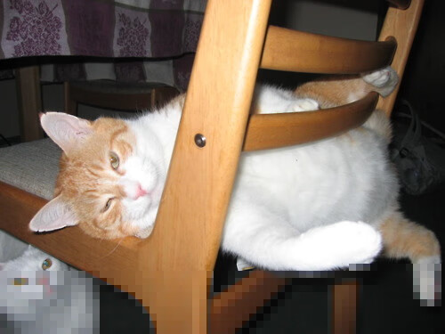 卡瓦哈尔的铁腕，一位右后卫如何导演了安哥拉的闪电战神话