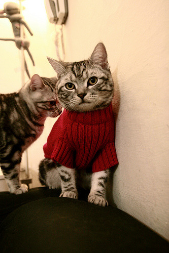 欧文关键先生助火箭惊天翻盘太阳