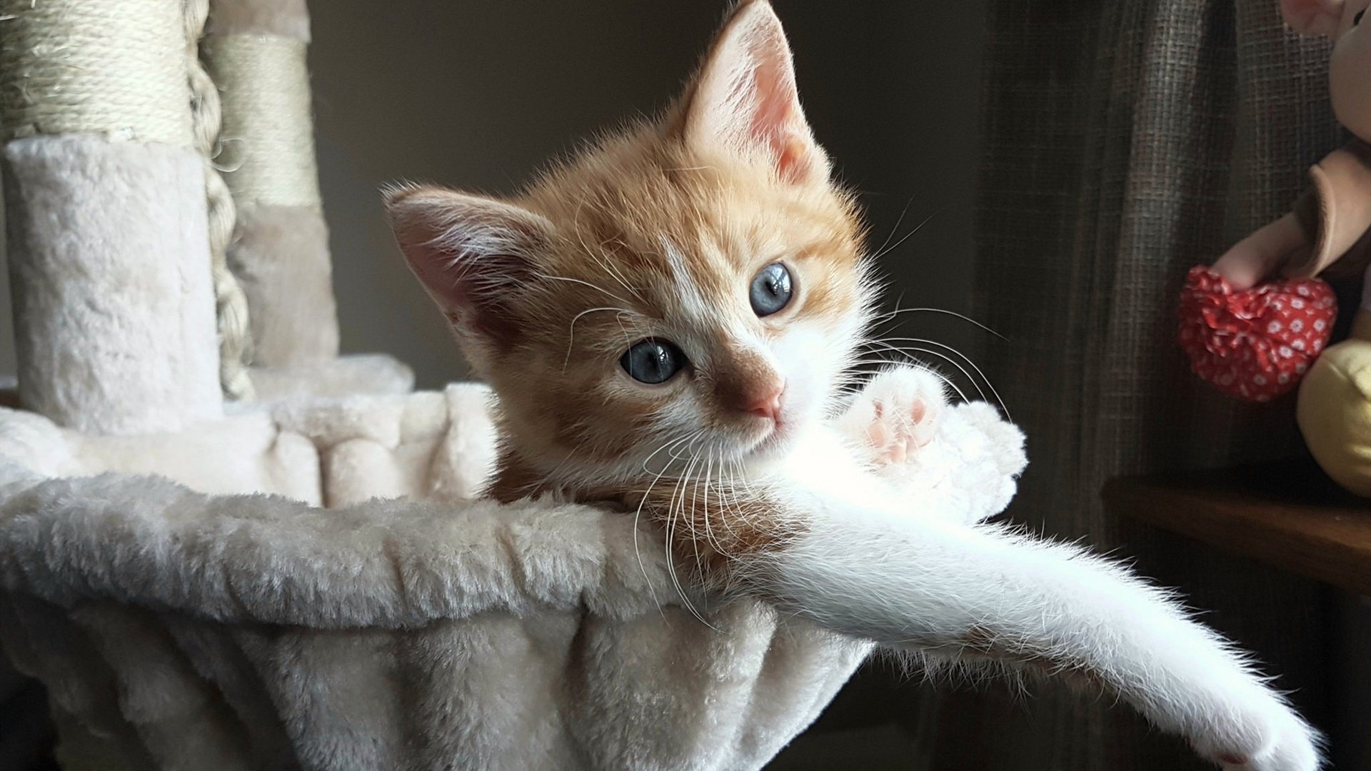 虚惊一场后的涅槃，奥纳纳如何在89分钟绝境中为几内亚正名