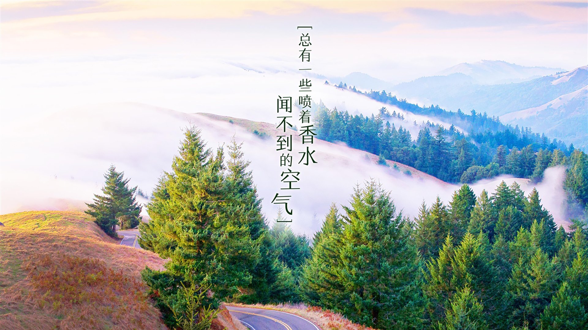 2026世界杯豪门对决关键战,吉鲁领衔法国全场压制,日本碾压越南展亚洲霸主风采