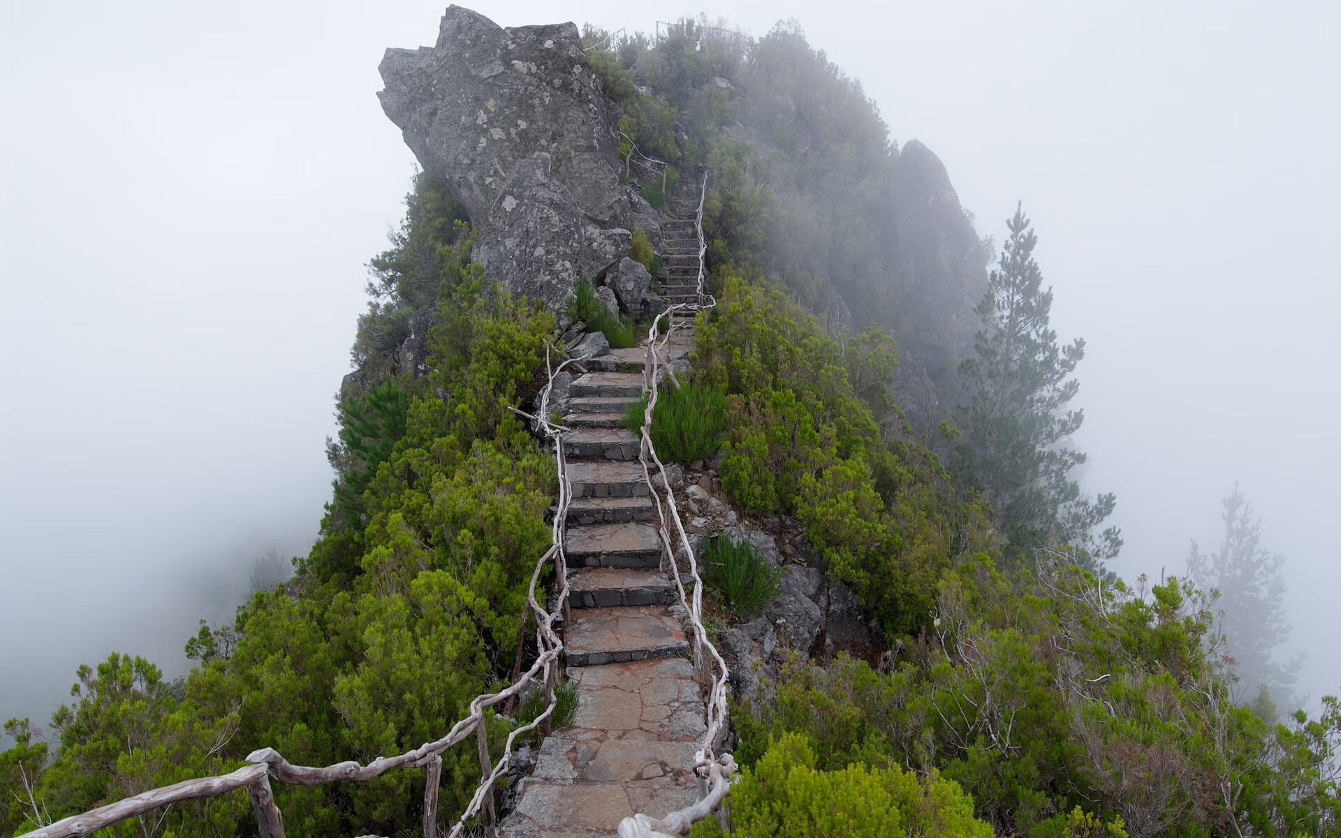 橙衣风暴席卷沙漠,范戴克天神下凡,突尼斯碾压越南震撼2026世界杯G组
