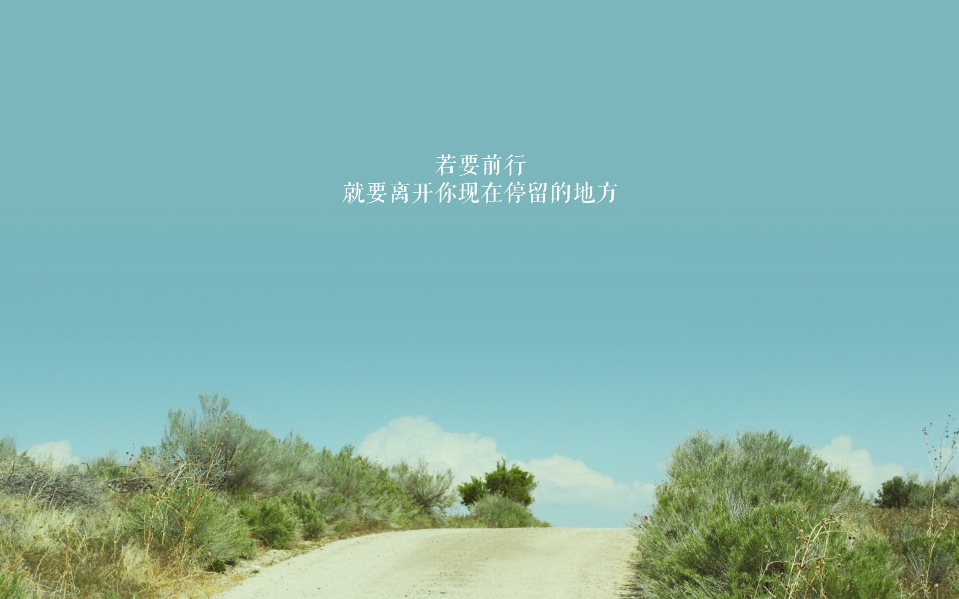 中东旋风席卷南亚雄狮，京多安导演碾压式胜利，阿联酋主场击溃印度