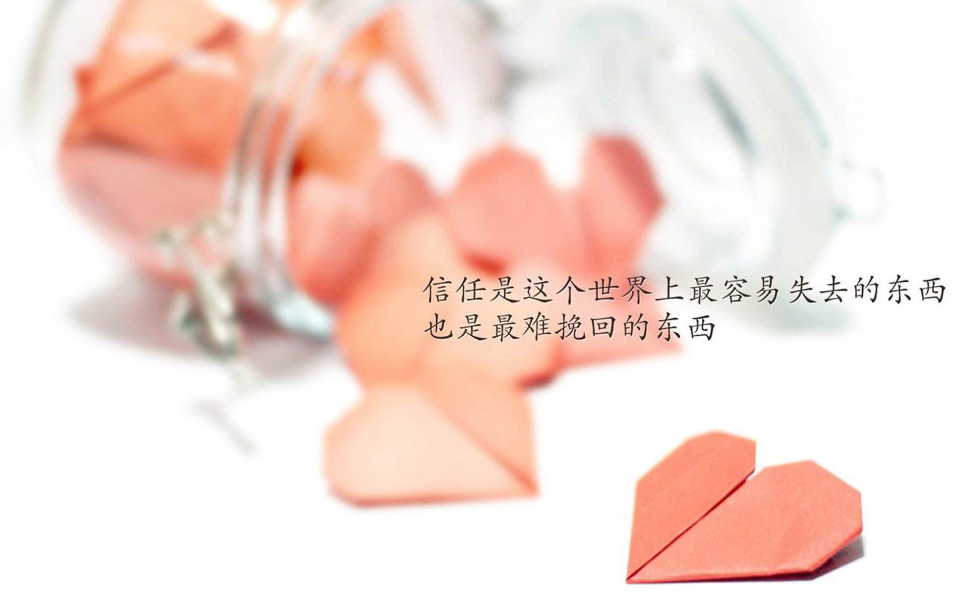 蓝衣军团绝地反击,意大利逆转比利时,范戴克虽败犹荣闪耀2026世界杯G组巅峰对决