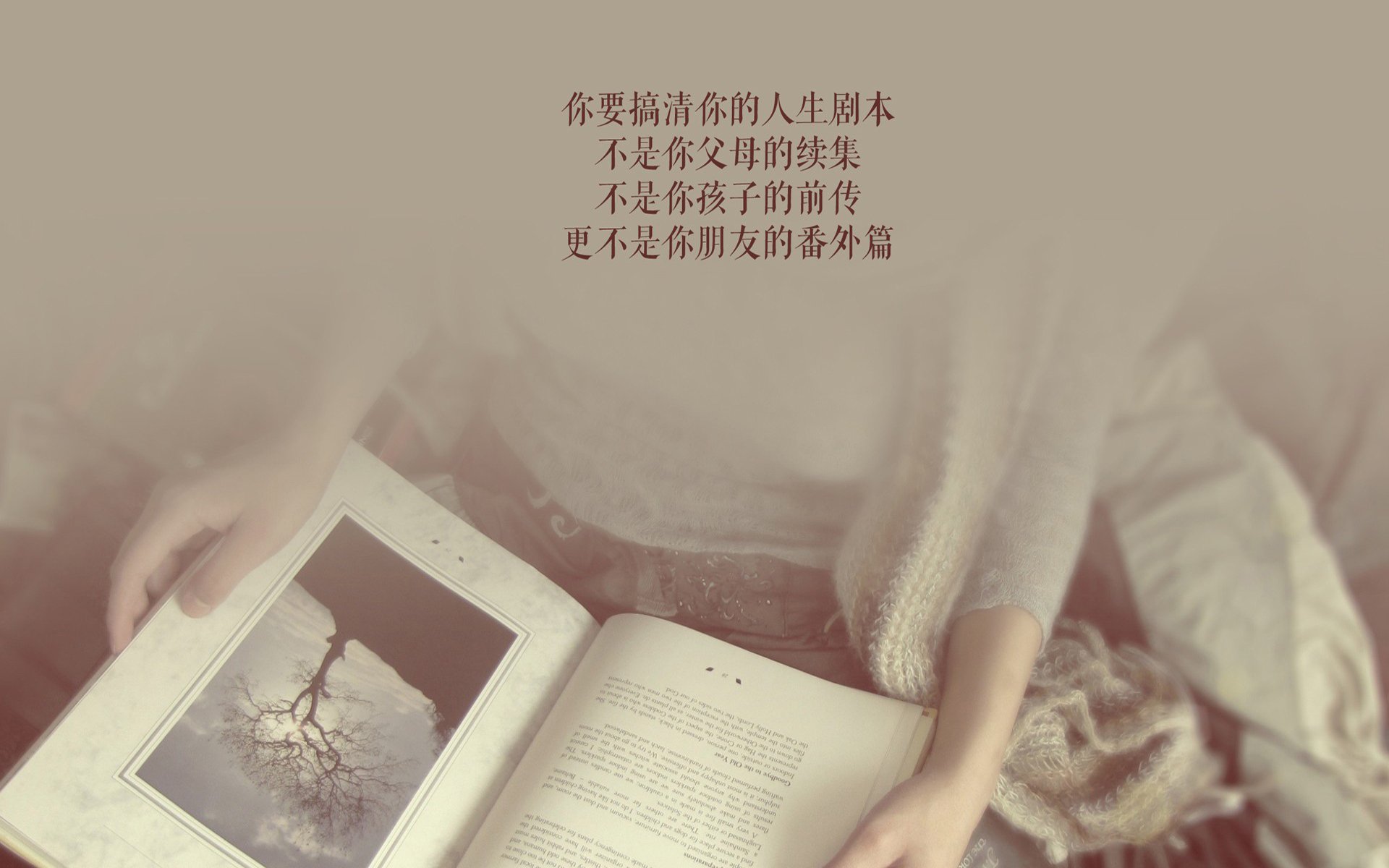 沙漠之王的节奏，C罗如何掌控2026世界杯H组沙特对瑞典的巅峰对决