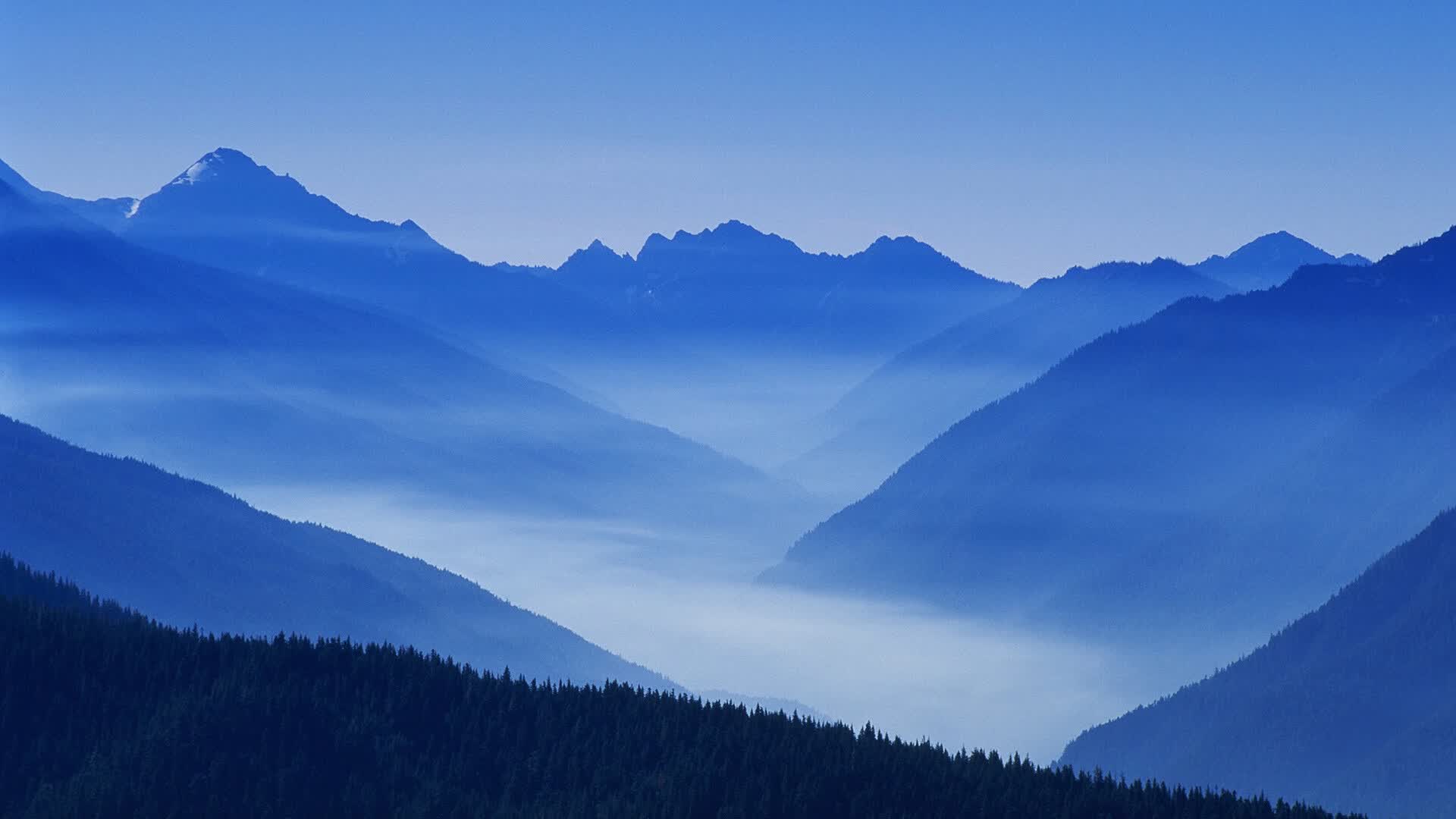 费利克斯独造三球，保加利亚完胜澳大利亚引爆2026世界杯E组焦点战